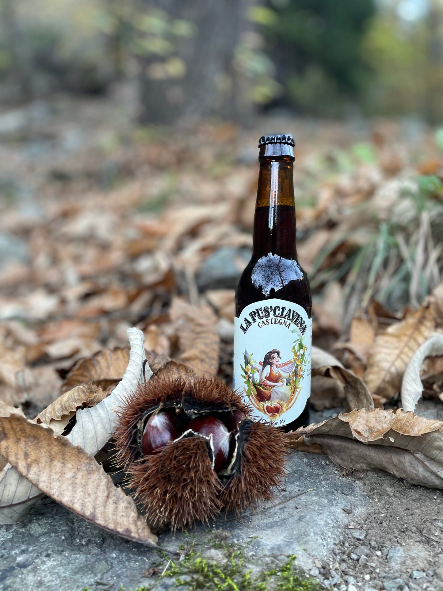 Kastanien Bier – Schweizer Craft Beer mit Kastanien aus Brusio